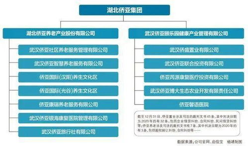 疫情压顶还是模式缺陷 湖北最大养老集团疑资金链断裂,欲处置大厦和医院资产