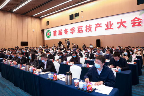 首届冬季荔枝产业大会在广州召开,广药集团 荔小吉 18款产品上市