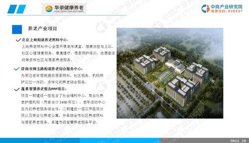 2019年中国智慧健康养老产业市场前景研究报告