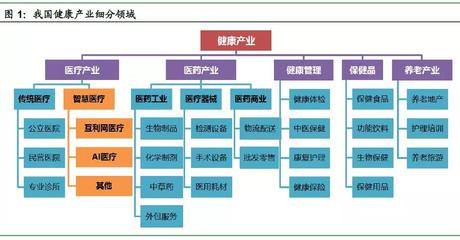 医疗“智慧化”,未来医疗的必由之路-健康产业投资机会