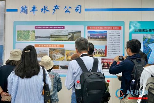 引领合浦养殖业发展 开辟桂台农业交流新渠道 2023年两岸媒体人广西行参访台资企业鲔丰水产