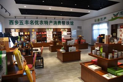 智能化、茶产业、大型庄园!一起感受汉中最IN项目→